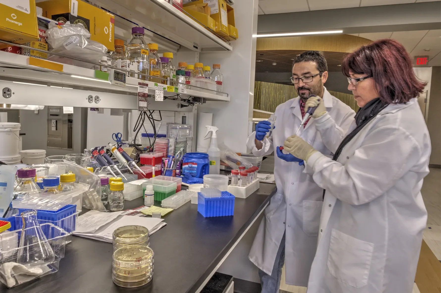 Scientist at Noble Research Institute Plant Biology Laboratory
