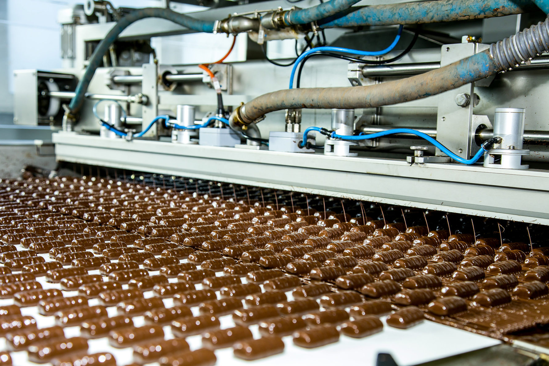 Manufacturing facility with a chocolate production line